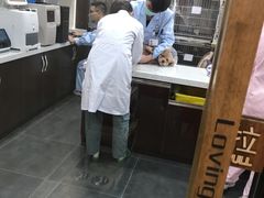 -宠爱国际动物医院·疑难骨科·心肾内科·皮肤科(太阳宫店)