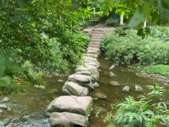 -重庆彩云湖湿地公园