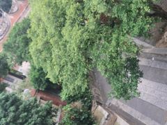 -晋江五店市传统文化旅游区