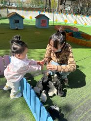 -萌宠亲子动物乐园(槐房万达店)