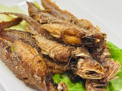 -瑞福园联谊餐室(茂名南路店)