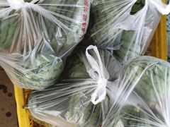 -庞各庄翠芳园西瓜蔬菜基地采摘园