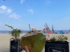 -大梅沙海滨公园