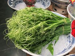 -鸽子窝(青塔店)