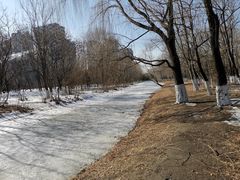 -长白岛森林公园