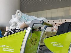 -广州白云国际机场-T2航站楼