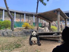 -大连森林动物园