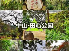 -田心森林公园