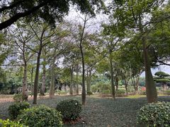 -南宁南湖公园