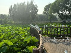 -渔岛海洋度假区