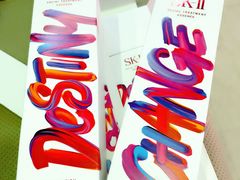 -升恒昌免税商店(桃园国际机场店)