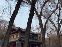 -晋祠公园
