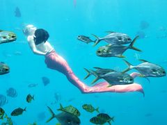 -瑞德姆美人鱼海底演艺主题餐厅(亚龙湾店)