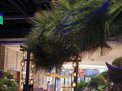 -绿茶餐厅(千岛湖银泰城店)