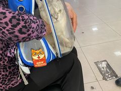 -宠颐生中康贝怡动物医院