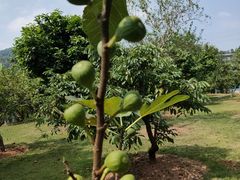 -中国移动南方基地