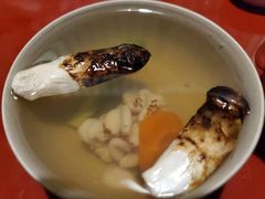 -虎吟こぎん