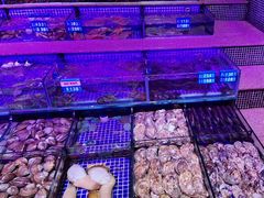 -青蓬蒸汽海鲜·深圳老字号·团建聚会(壹方城店)