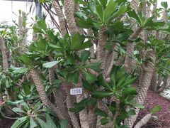 -南通洲际绿博园