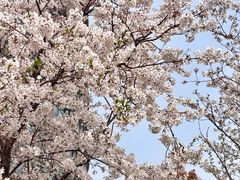 -上海世纪汇广场