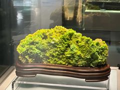 -安徽省地质博物馆