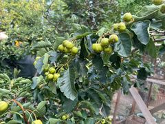 -天津盘山风景名胜区