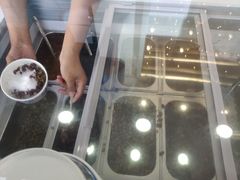 -好利来(国际能源店)