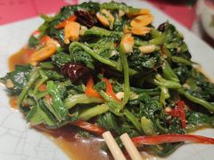 -寂寞的豆芽(龙泽路店)