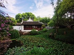 -上海醉白池公园