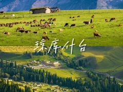 -赛里木湖风景名胜区