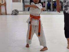 -极真空手道修远道场