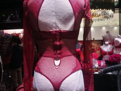 -Victoria's Secret(苏州中心全品类店)