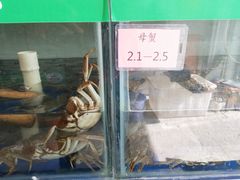 -阳澄湖大闸蟹·琼灵阁牌品牌连锁(吴中总店)