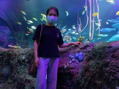 -沈阳海洋探索中心