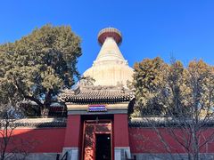 -妙应寺白塔