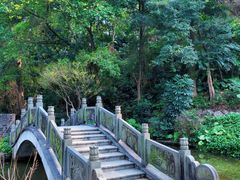 -深圳国际园林花卉博览园