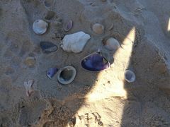 -黄金海岸