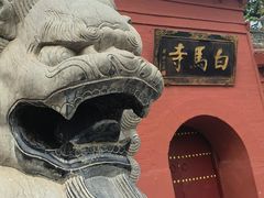 -洛阳白马寺