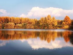 -塞罕坝国家级自然保护区