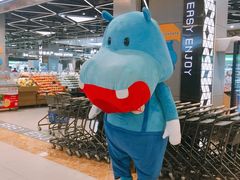-盒马鲜生(宝地店)