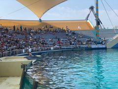 -秦皇岛乐岛海洋王国