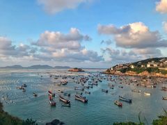 -枸杞岛