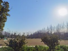 -前小桔亲子创意农场·草莓采摘·露营烧烤