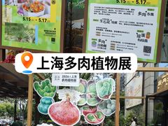 -瑞虹新天地月亮湾