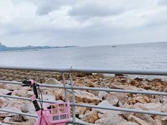 -野狸岛
