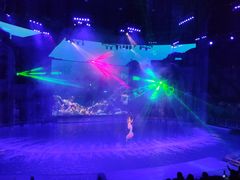 -芜湖新华联大白鲸海洋公园