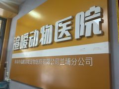 -渲嗳动物医院(异宠·复杂内科转诊中心·玖洲道富华里分院)