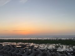 -南汇嘴观海公园