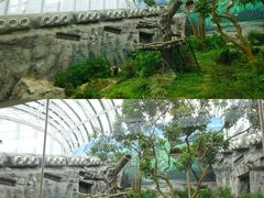 -石排湾郊野公园