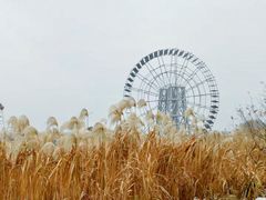 -太湖湖滨国家湿地公园-停车场